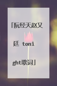 阮经天赵又廷 tonight歌词