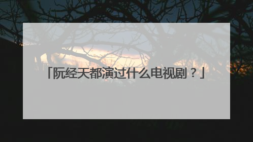 阮经天都演过什么电视剧？