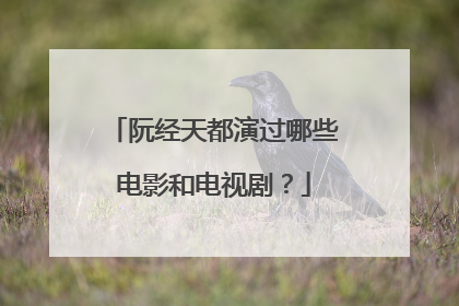 阮经天都演过哪些电影和电视剧？