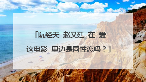 阮经天 赵又廷 在 爱 这电影 里边是同性恋吗？