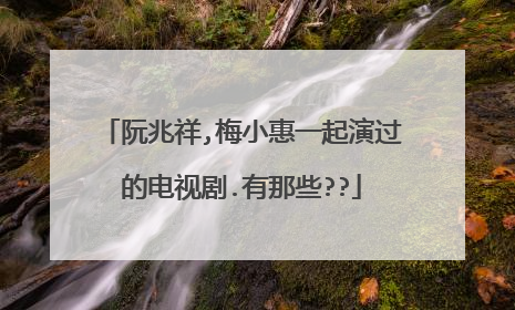 阮兆祥,梅小惠一起演过的电视剧.有那些??