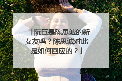 阮巨是陈思诚的新女友吗？陈思诚对此是如何回应的？