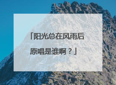 阳光总在风雨后原唱是谁啊?