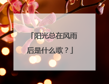 阳光总在风雨后是什么歌？
