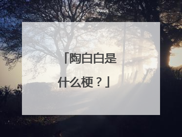 陶白白是什么梗?