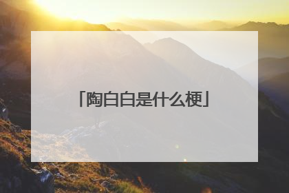 陶白白是什么梗