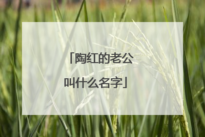 陶红的老公叫什么名字