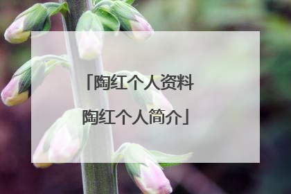 陶红个人资料 陶红个人简介