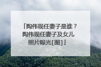 陶伟现任妻子是谁？ 陶伟现任妻子及女儿照片曝光[图]