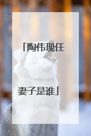 陶伟现任妻子是谁