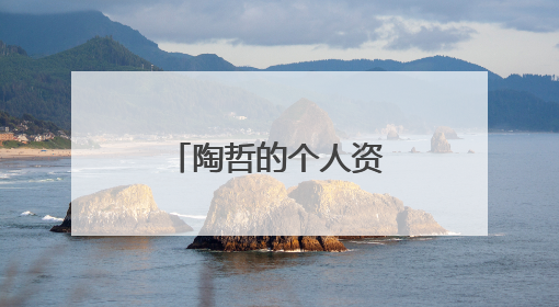 陶哲的个人资料是什么？