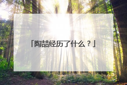 陶喆经历了什么？