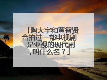 陶大宇和黄智贤合拍过一部电视剧 是亚视的现代剧,叫什么名?