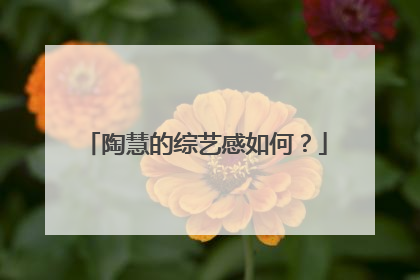 陶慧的综艺感如何?