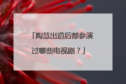 陶慧出道后都参演过哪些电视剧?