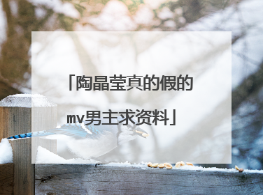 陶晶莹真的假的mv男主求资料