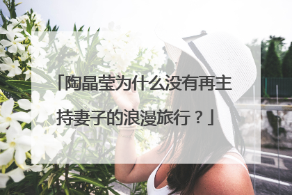 陶晶莹为什么没有再主持妻子的浪漫旅行？