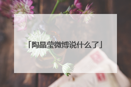 陶晶莹微博说什么了