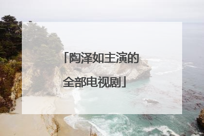 陶泽如主演的全部电视剧