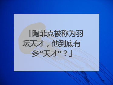 陶菲克被称为羽坛天才，他到底有多”天才“？