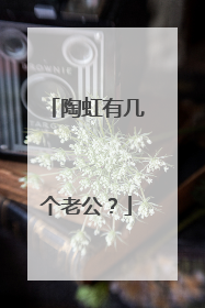 陶虹有几个老公？