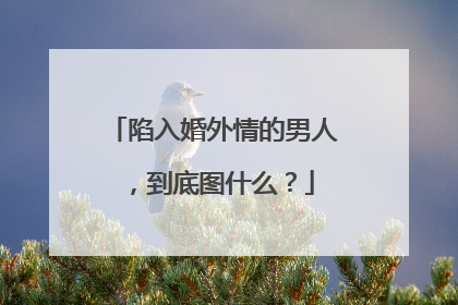 陷入婚外情的男人，到底图什么？