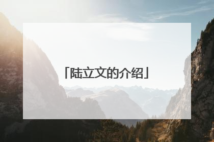 陆立文的介绍