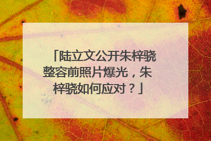 陆立文公开朱梓骁整容前照片爆光,朱梓骁如何应对?