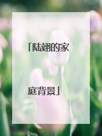 陆翊的家庭背景