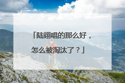 陆翊唱的那么好，怎么被淘汰了？