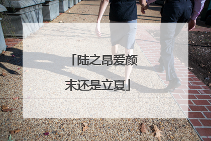 陆之昂爱颜末还是立夏