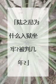 陆之昂为什么入狱坐牢?被判几年?