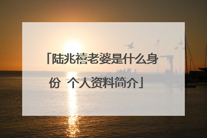 陆兆禧老婆是什么身份 个人资料简介