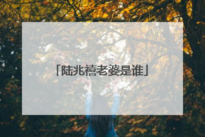 陆兆禧老婆是谁