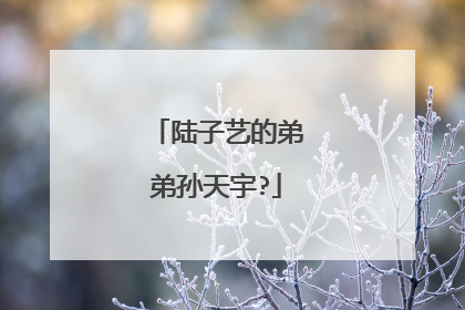 陆子艺的弟弟孙天宇?