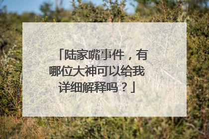 陆家嘴事件,有哪位大神可以给我详细解释吗?