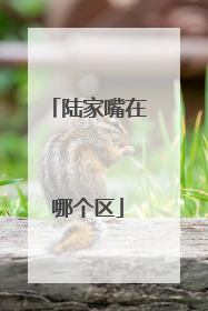 陆家嘴在哪个区