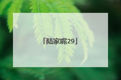 陆家嘴29