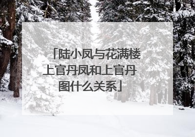 陆小凤与花满楼上官丹凤和上官丹图什么关系