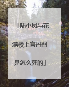 陆小凤与花满楼上官丹图是怎么死的