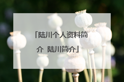 陆川个人资料简介 陆川简介