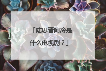 陆思晋阿冷是什么电视剧?