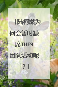 陆柯燃为何会暂时缺席THE9团队活动呢?