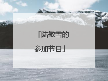 陆敏雪的参加节目