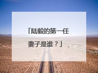 陆毅的第一任妻子是谁？