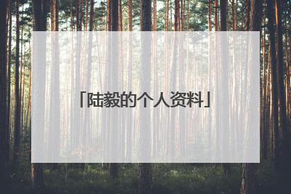 陆毅的个人资料