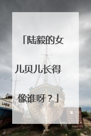 陆毅的女儿贝儿长得像谁呀？