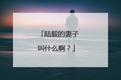 陆毅的妻子叫什么啊？