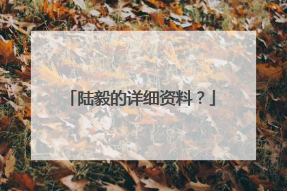 陆毅的详细资料？