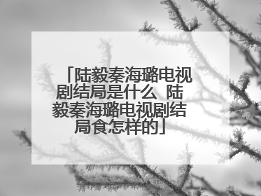 陆毅秦海璐电视剧结局是什么 陆毅秦海璐电视剧结局食怎样的